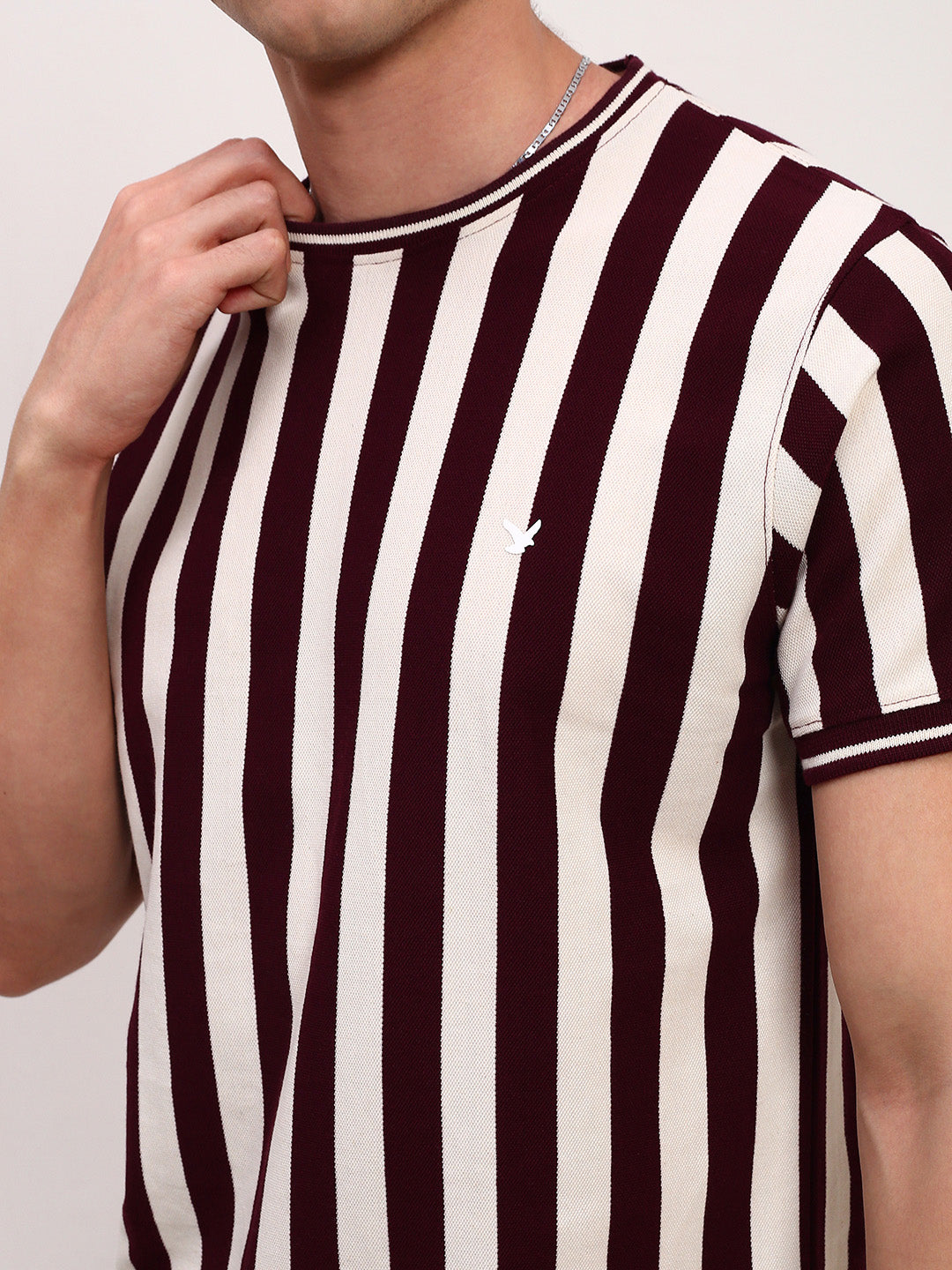 Men Burgundy Striped T Shirt