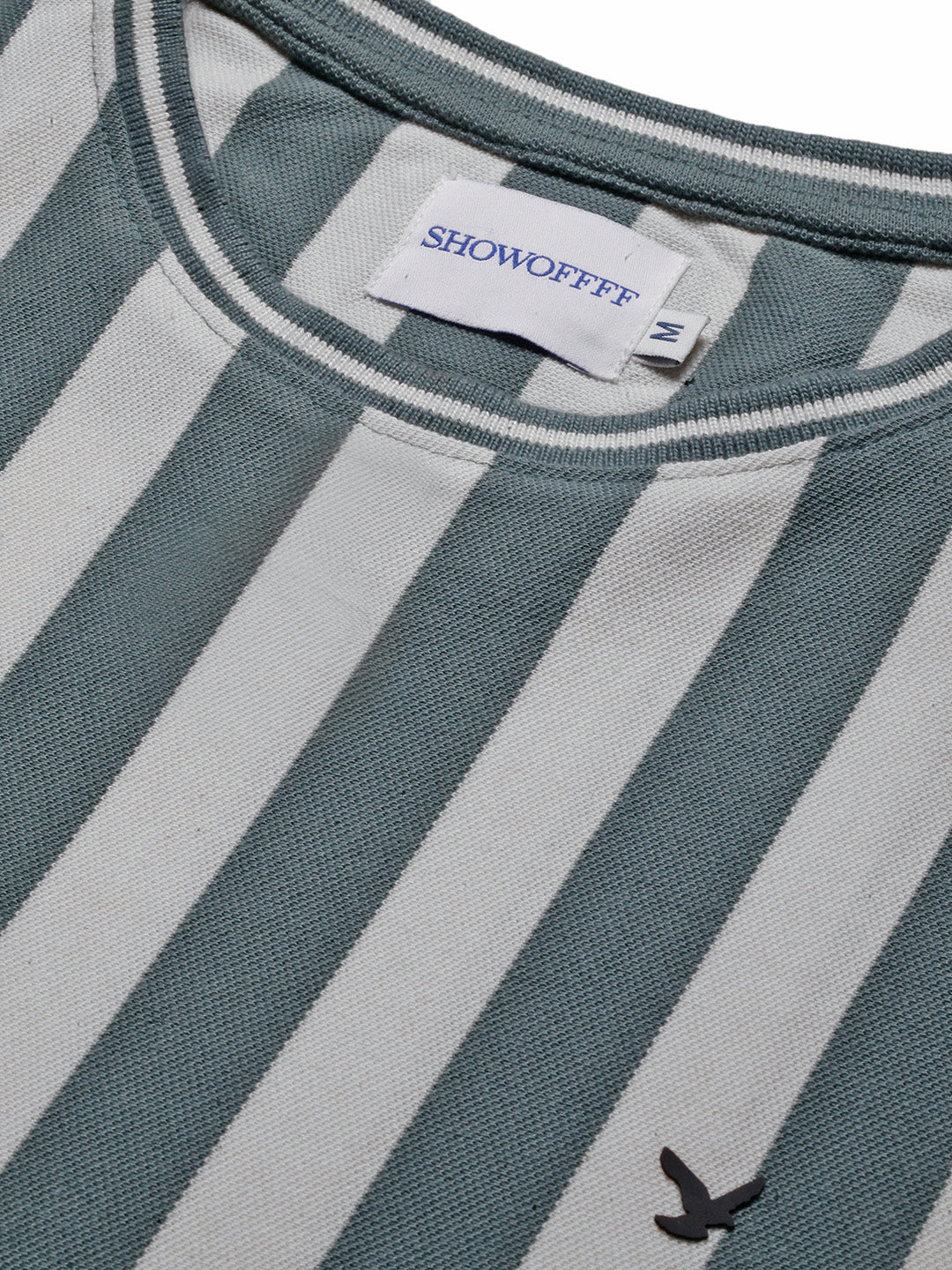 Men Sea Green Striped T Shirt