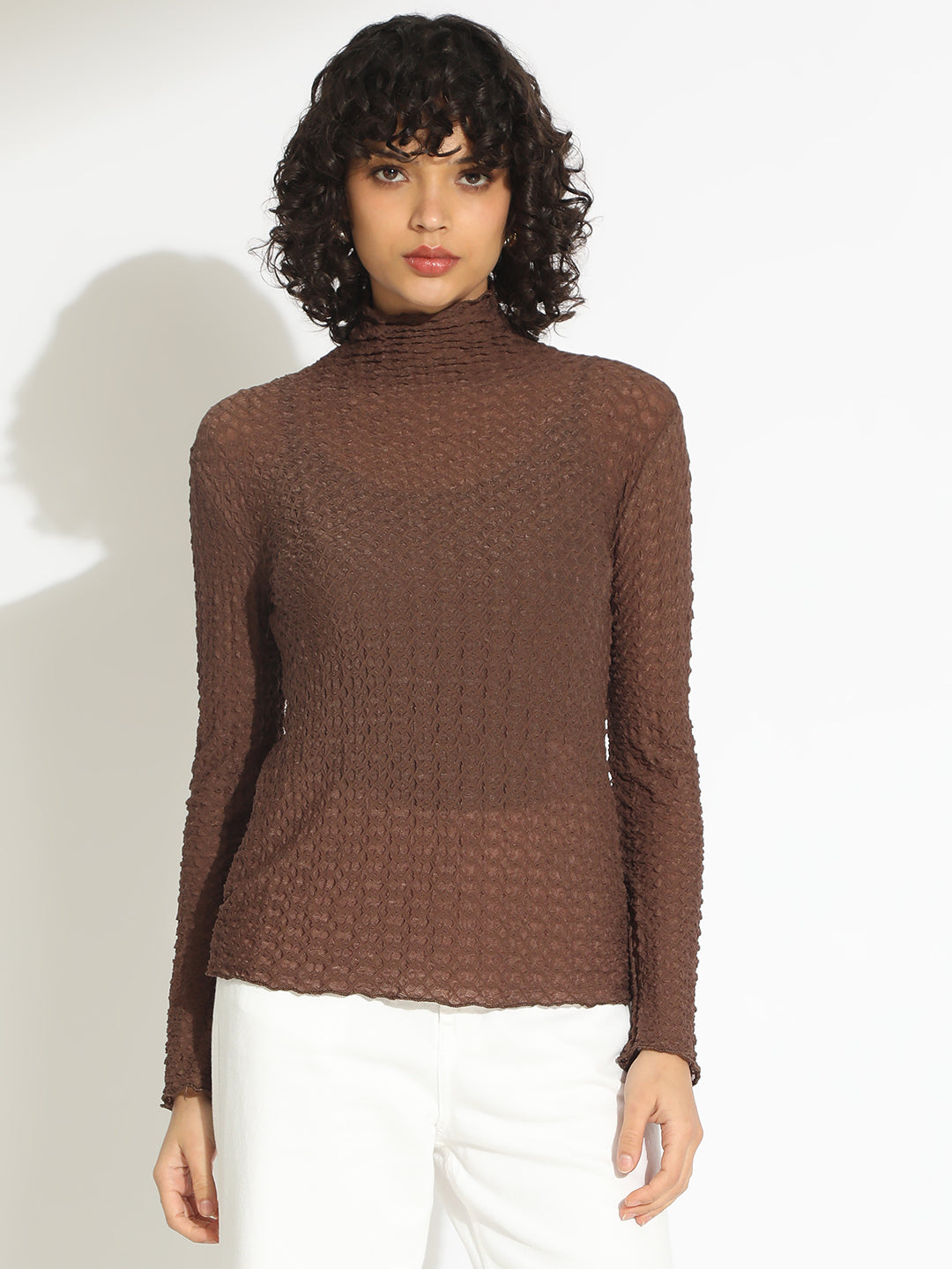Women's Brown Textured Sheer High Neck Top