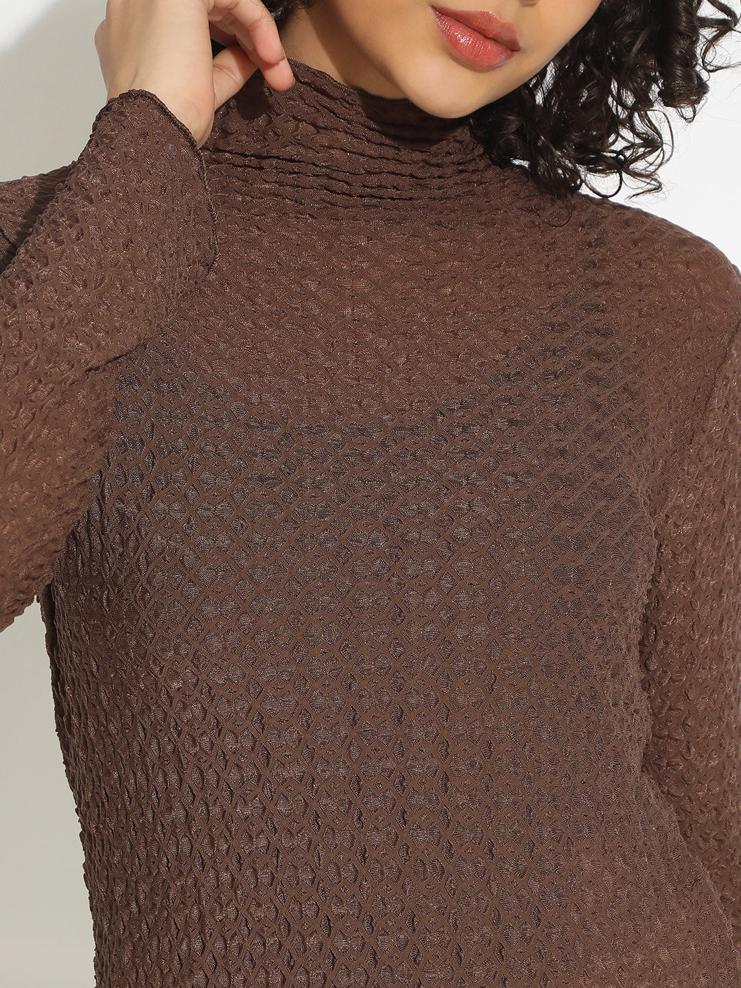 Women's Brown Textured Sheer High Neck Top