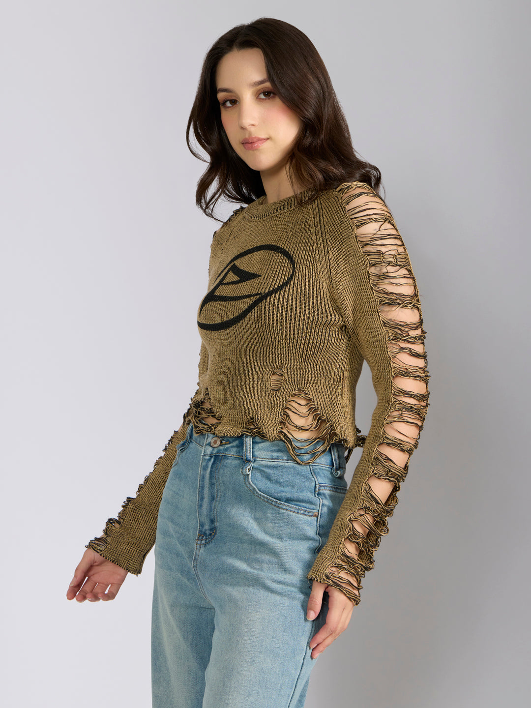 Women's Ribbed Brown Distressed Round Neck Short Top