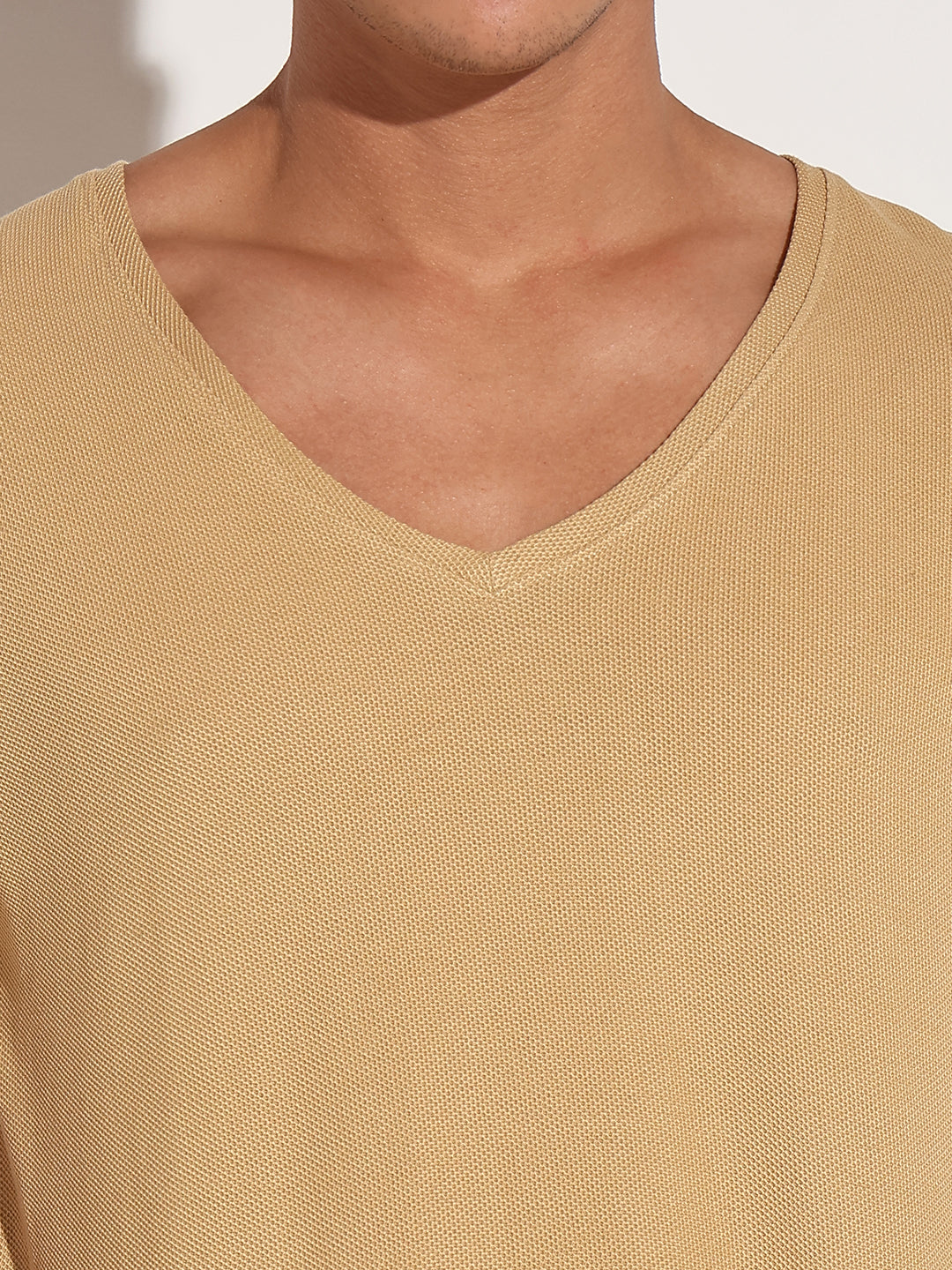 Men's Beige V-Neck Regular Fit T-Shirt