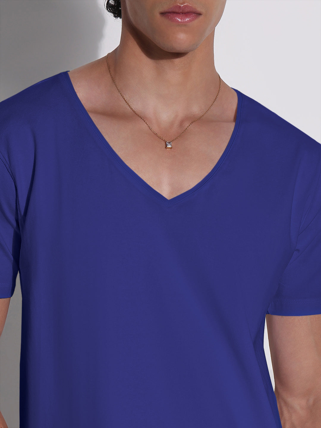 Men's Blue V-Neck Regular Fit T-Shirt