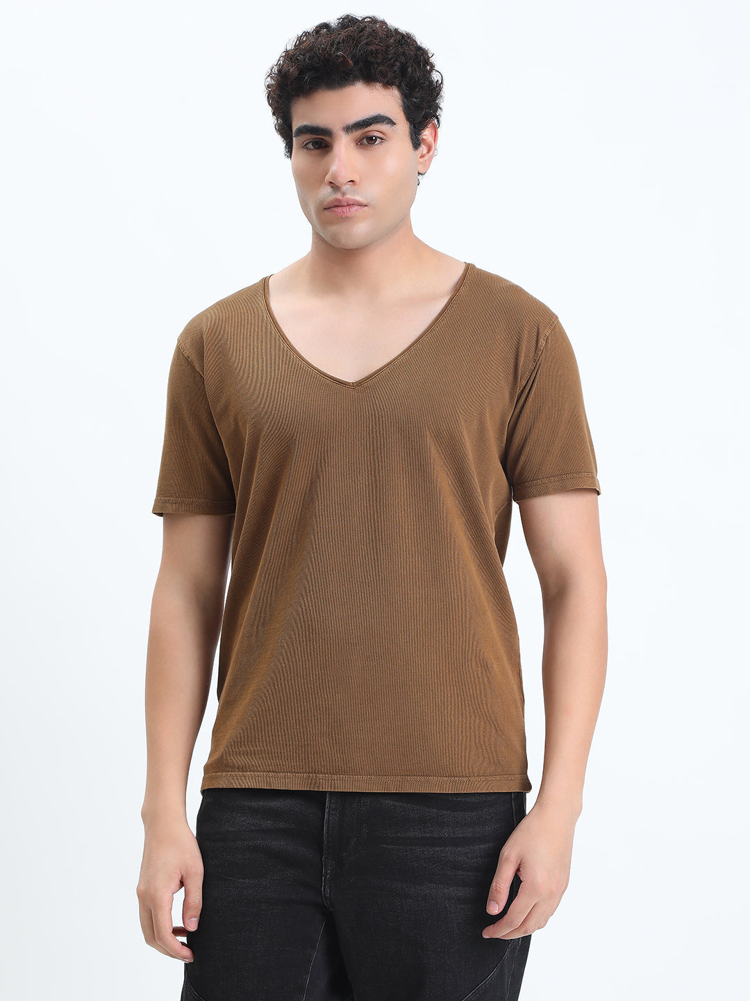 Men's Brown V-Neck Regular Fit T-Shirt