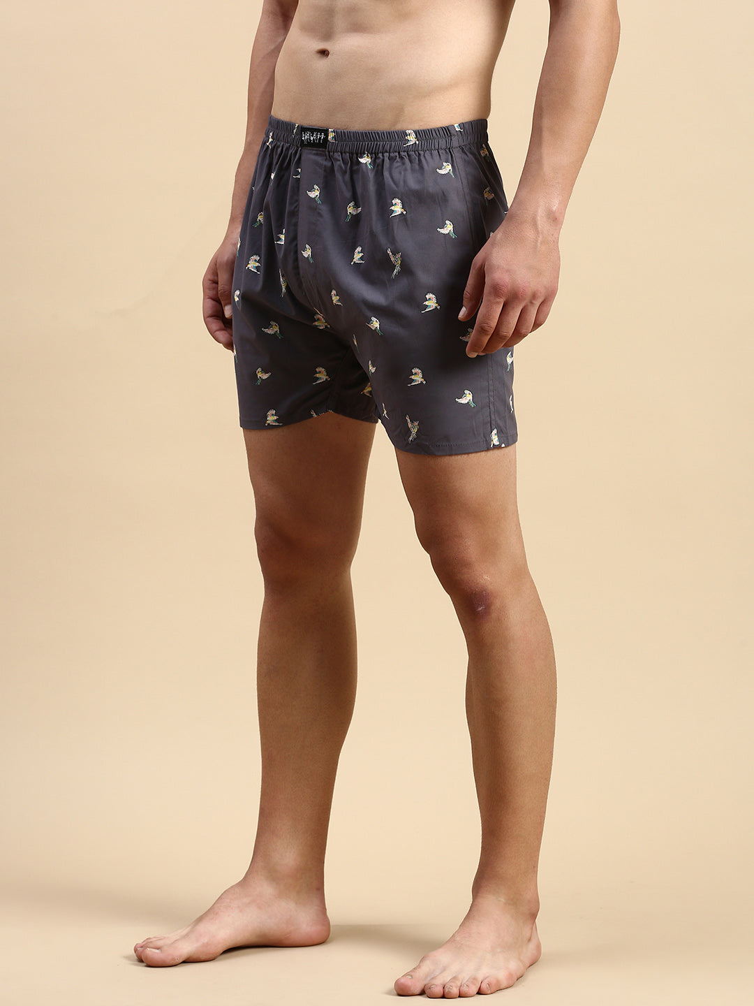 Men's Printed Grey Boxers