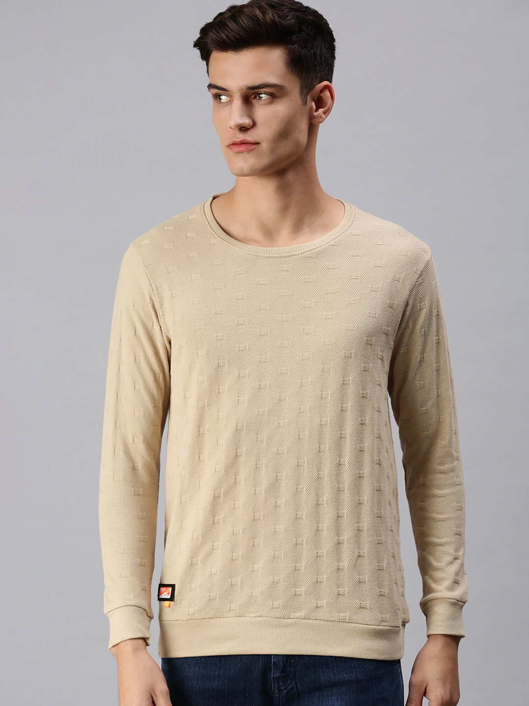 Men Solid Beige Sweatshirt