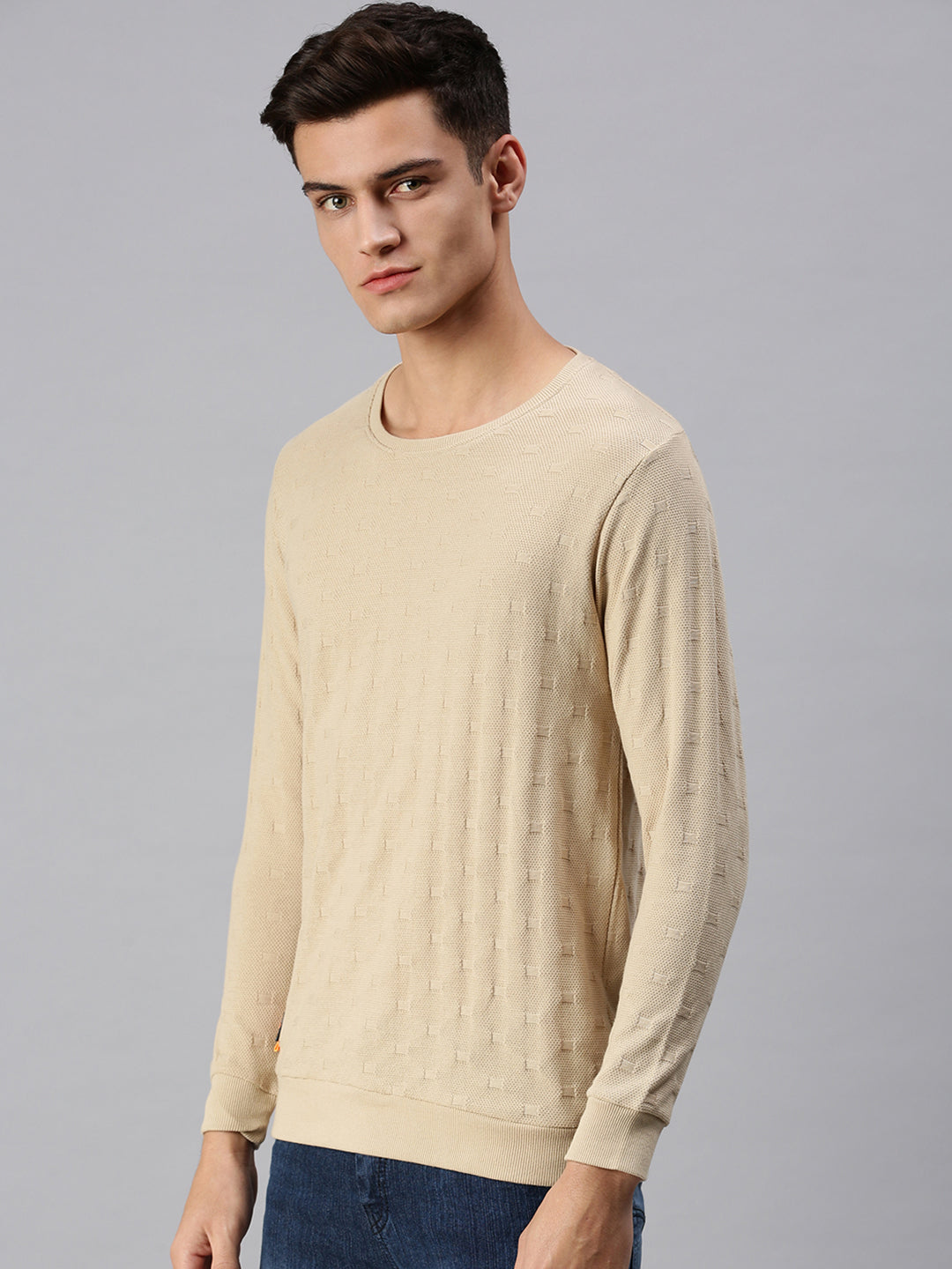 Men Solid Beige Sweatshirt