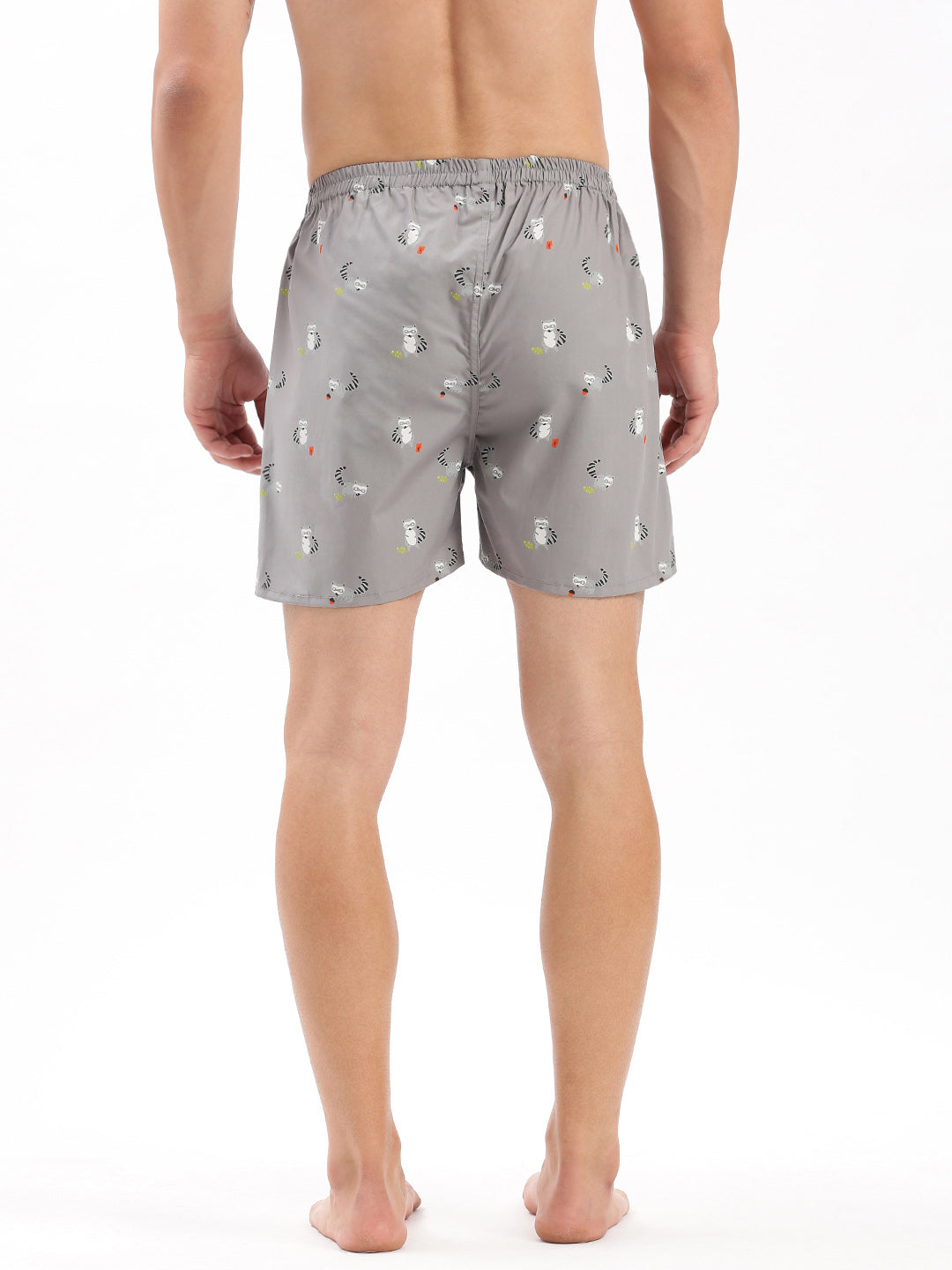 Men Printed Grey Boxer