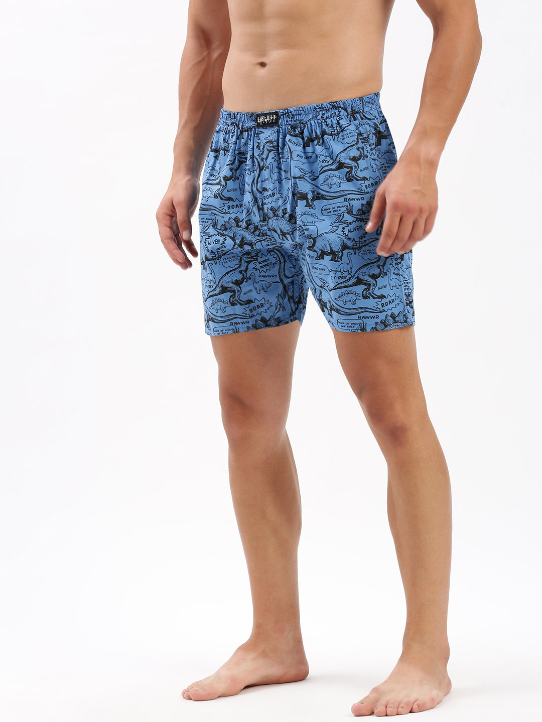 Men Printed Blue Boxer