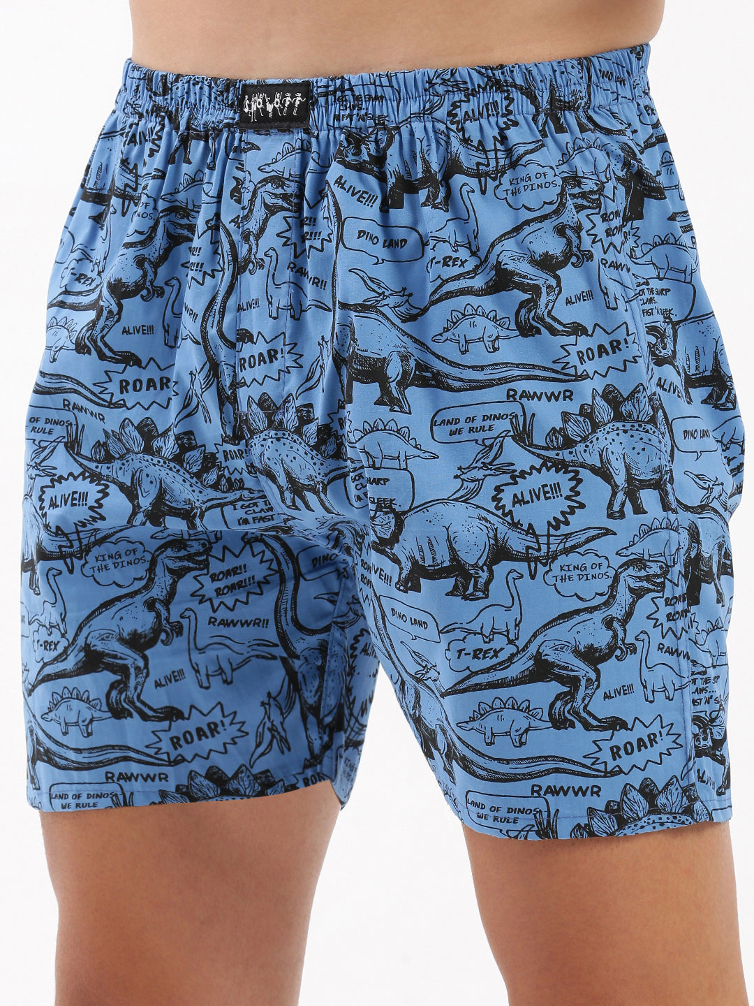 Men Printed Blue Boxer