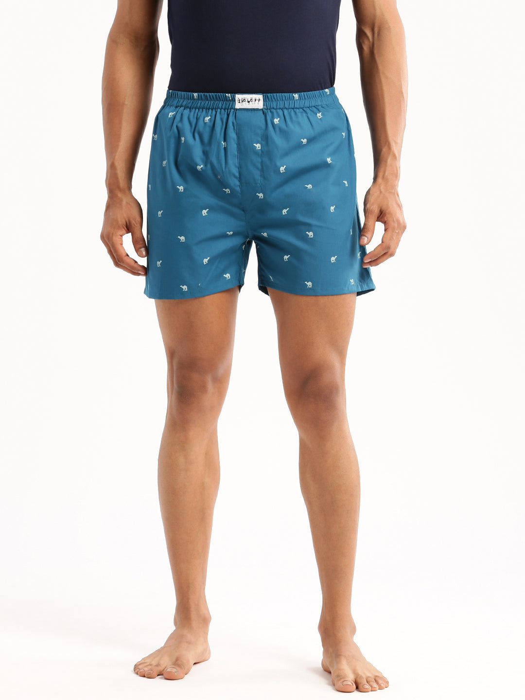 Men Teal Printed Boxer