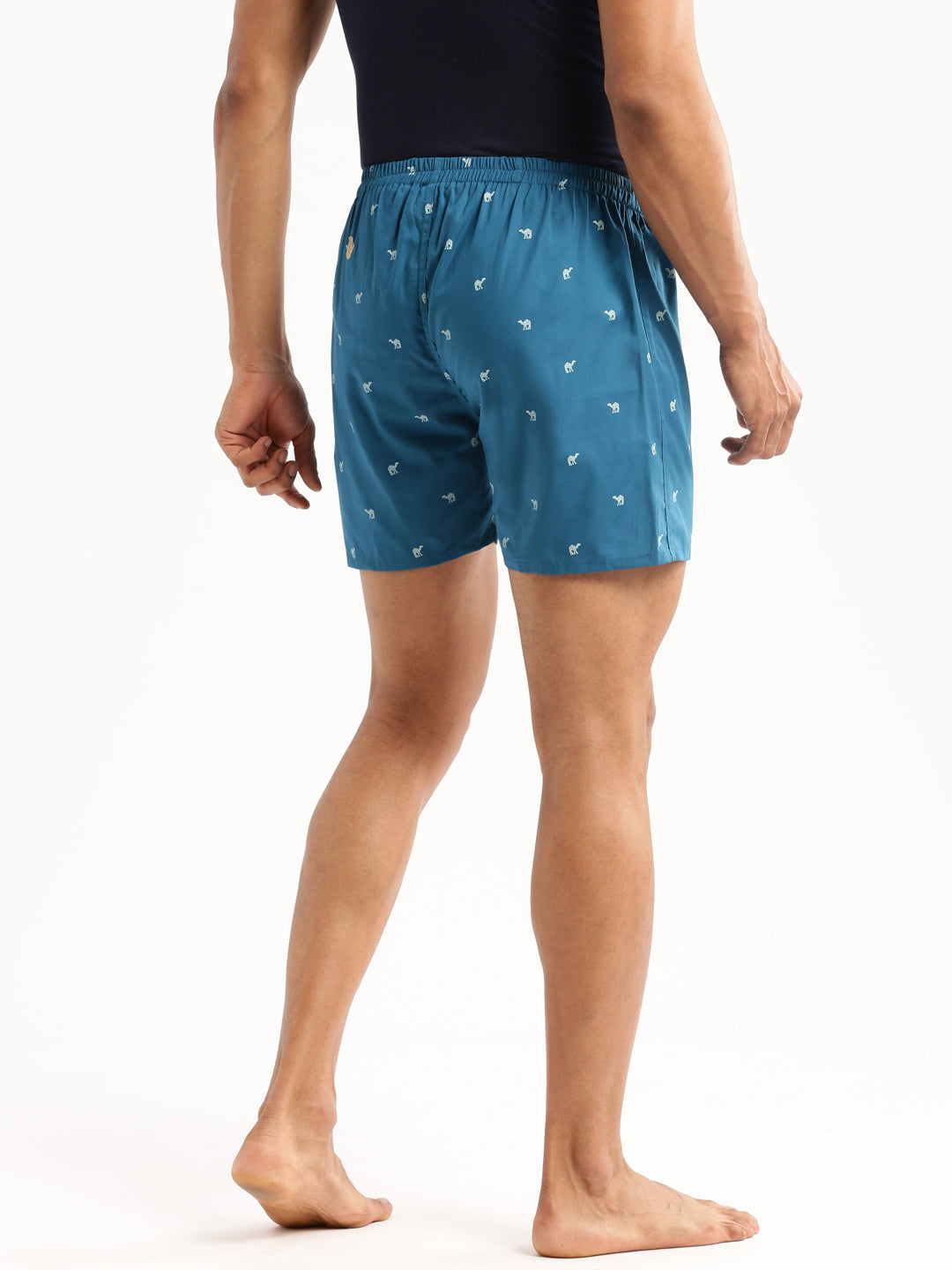 Men Teal Printed Boxer