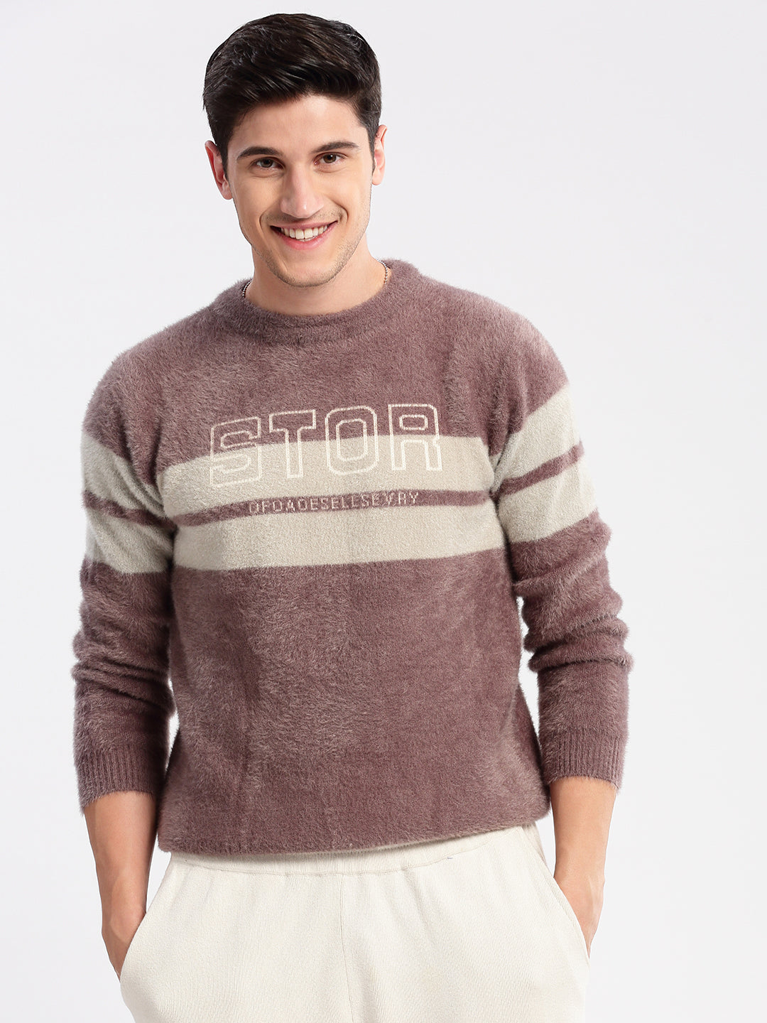 Men Round Neck Self Design Lavender Pullover