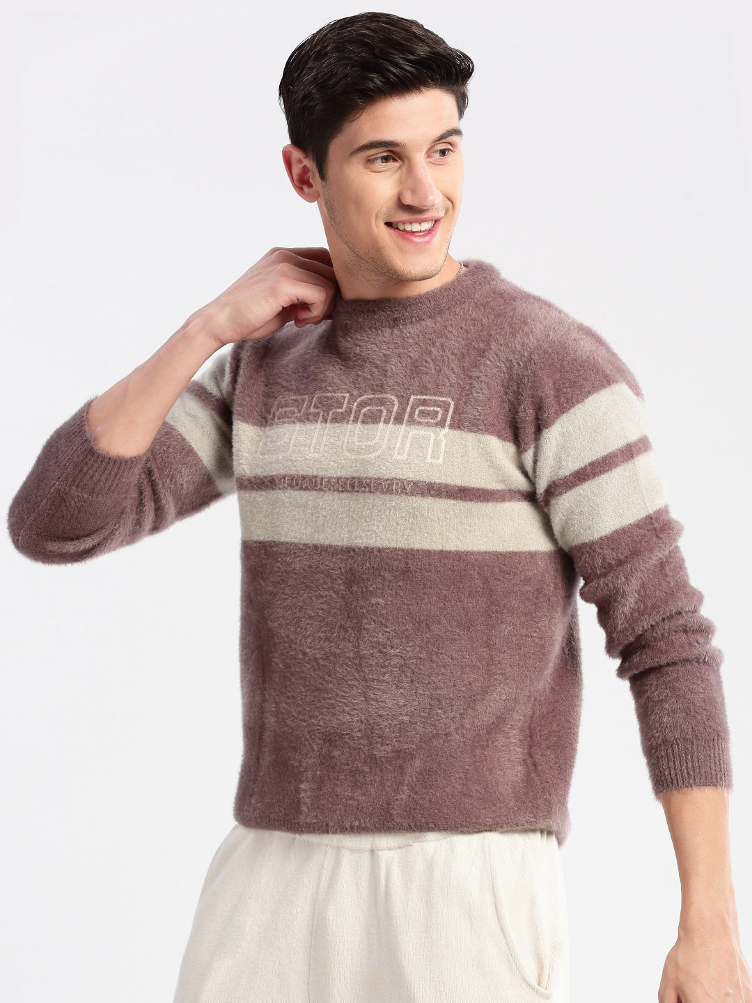 Men Round Neck Self Design Lavender Pullover