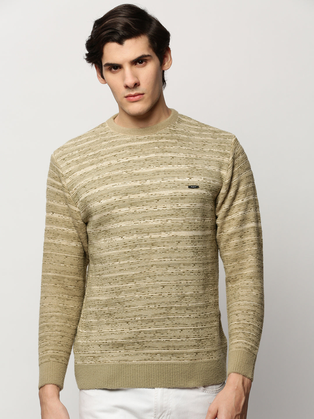 Men Green Knitted Casual Sweaters