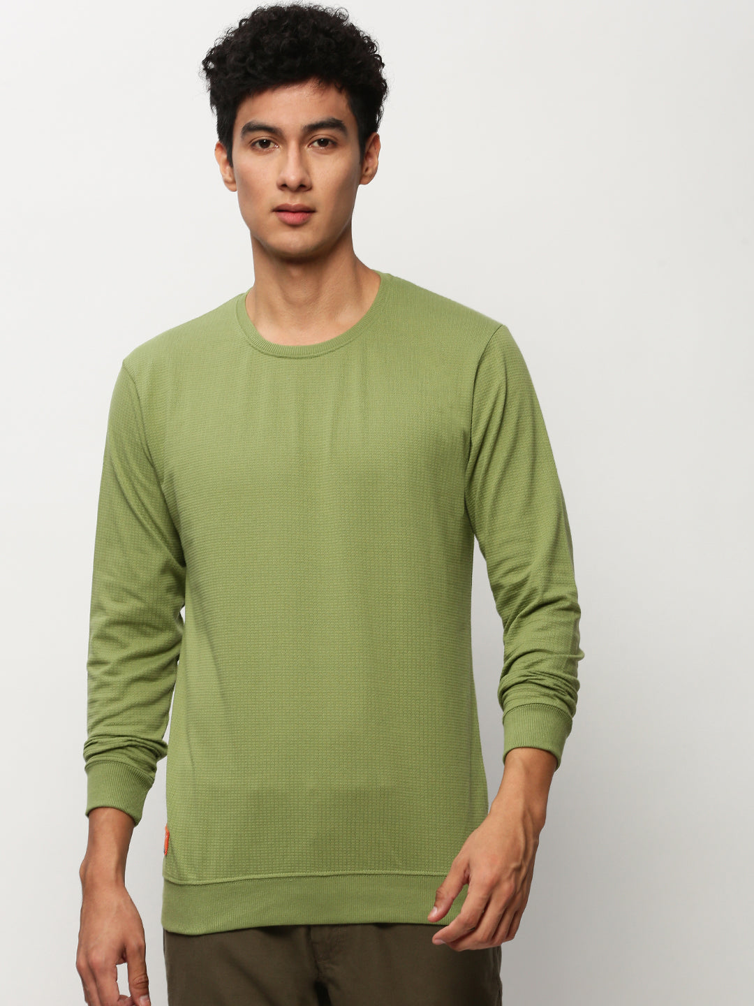 Men Green Solid Casual Sweatshirts