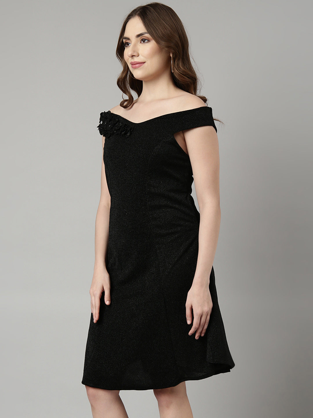 Women Black Solid A-Line Dress