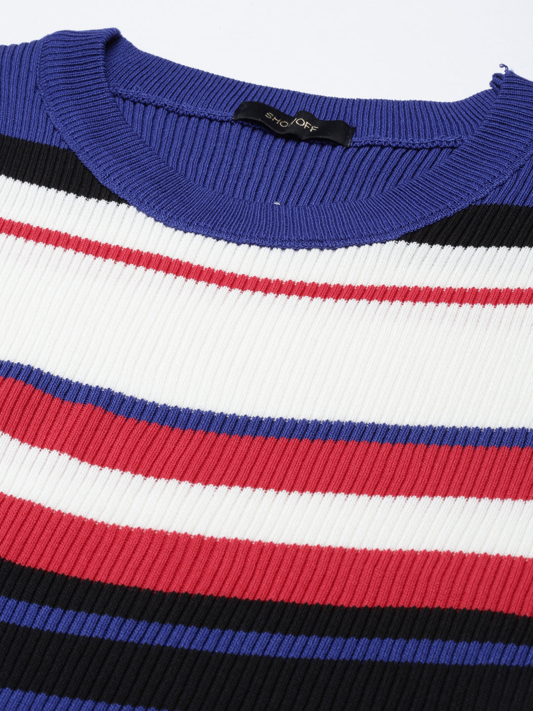 Women's Round Neck Colourblocked Blue Fitted Regular Top