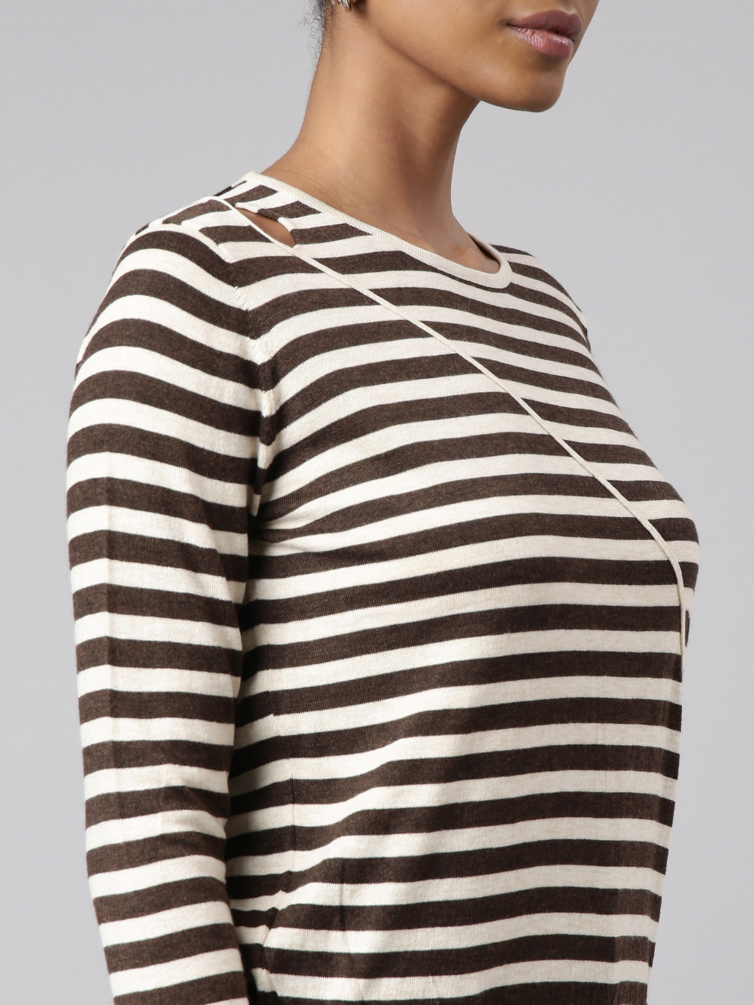 Women Brown Horizontal Stripes Fitted Top