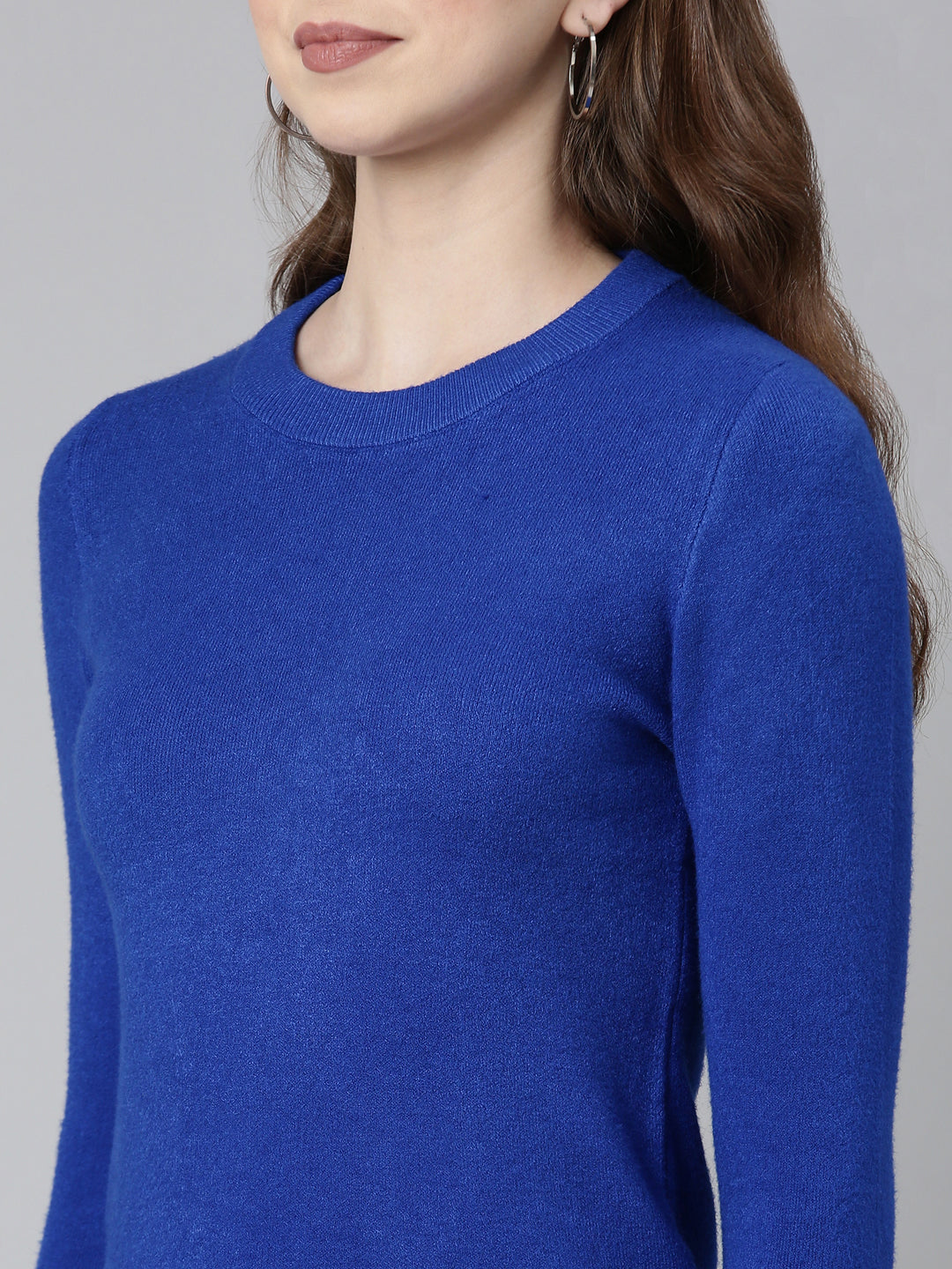 Women Round Neck Solid Regular Sleeves Fitted Blue Top